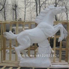 漢白玉石雕馬，廣場石馬雕塑