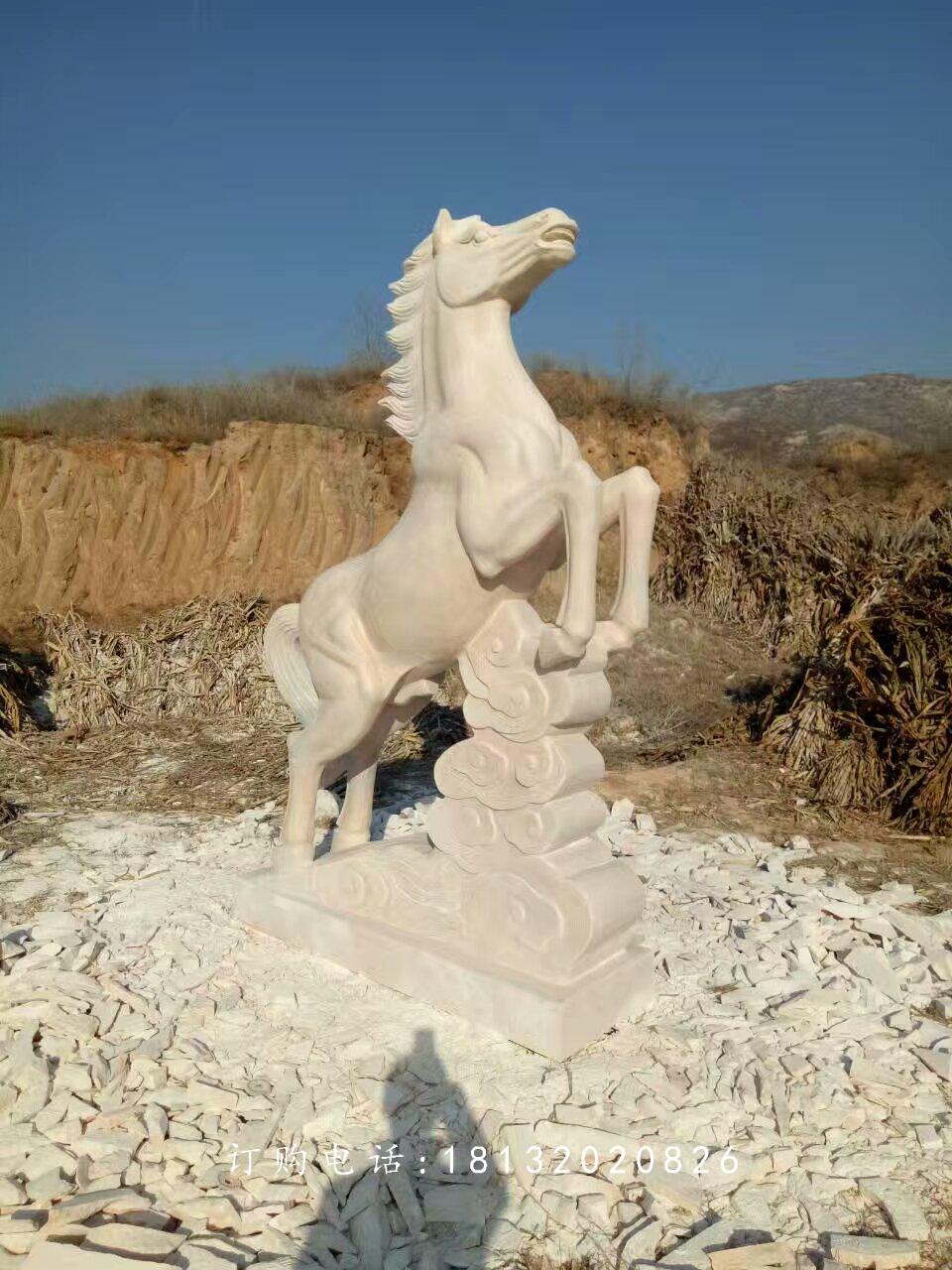 馬踏祥云石雕,廣場石雕馬 (2)