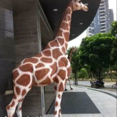 玻璃鋼長頸鹿雕塑，玻璃鋼仿真動物雕塑
